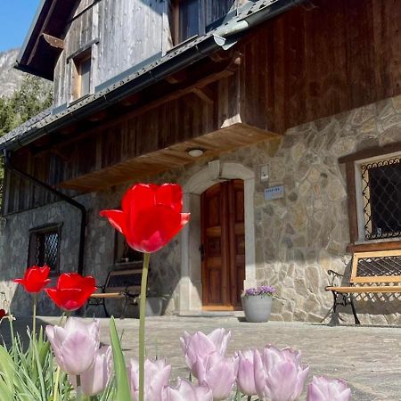 4 Elements Resort Bled Bohinjska Bela Exterior photo