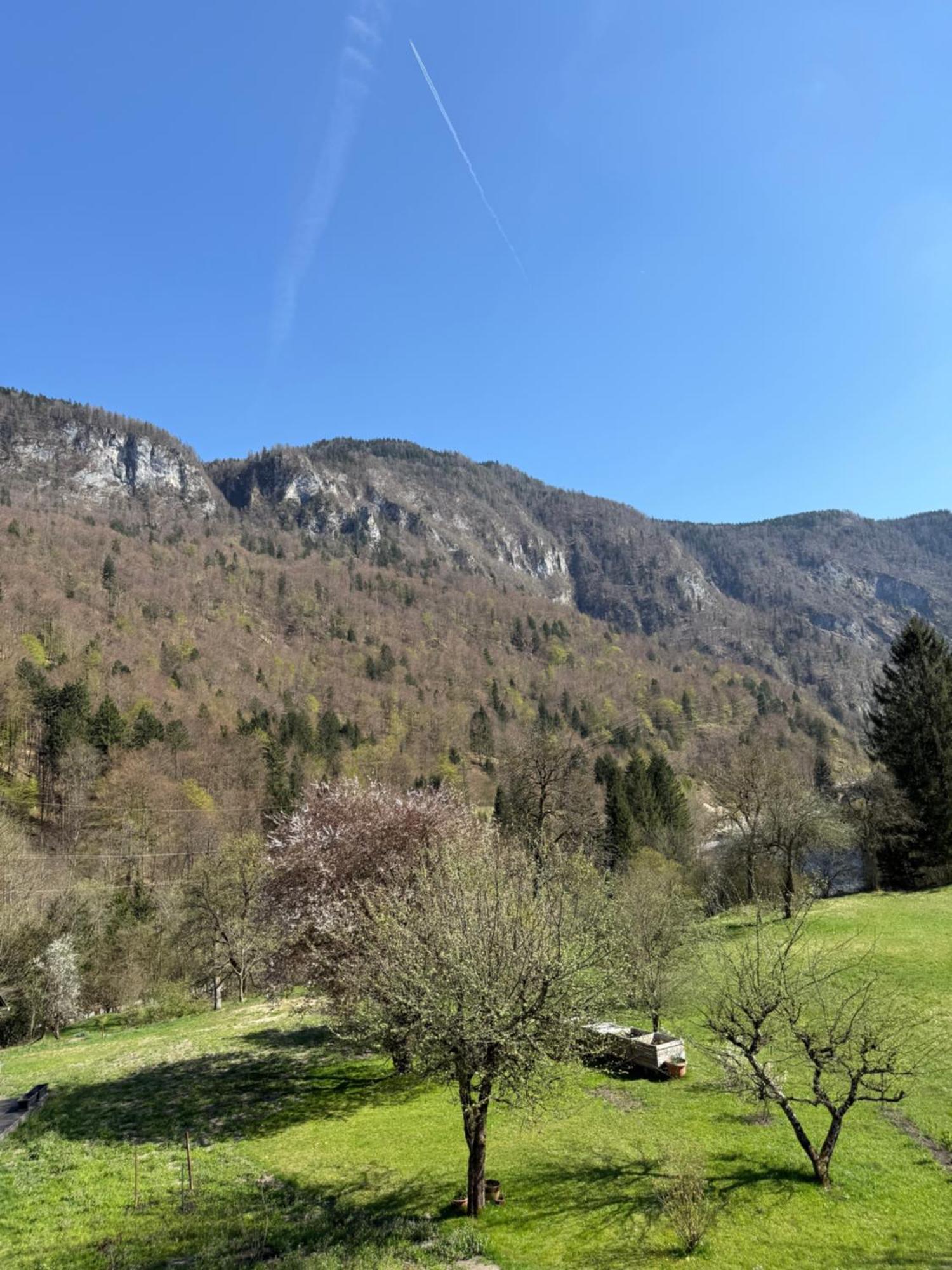 4 Elements Resort Bled Bohinjska Bela Exterior photo